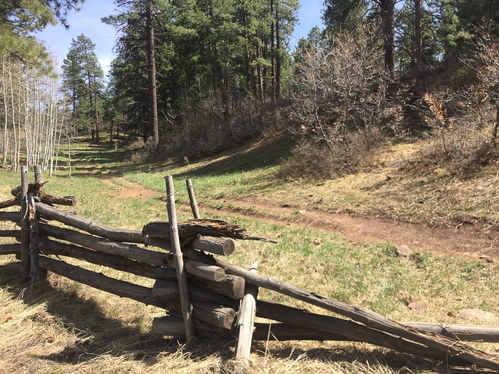 Fence line along the Mustang Crossing property