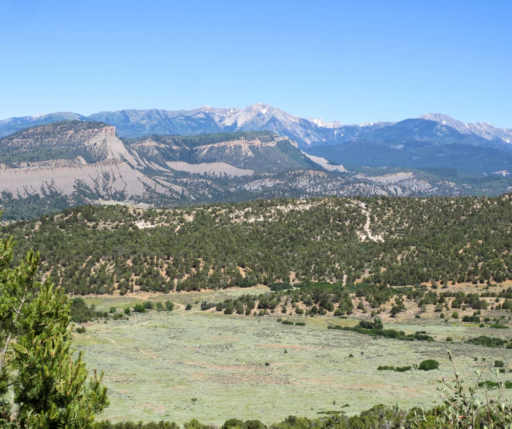 Rocky Mountain foothills near Bayfield