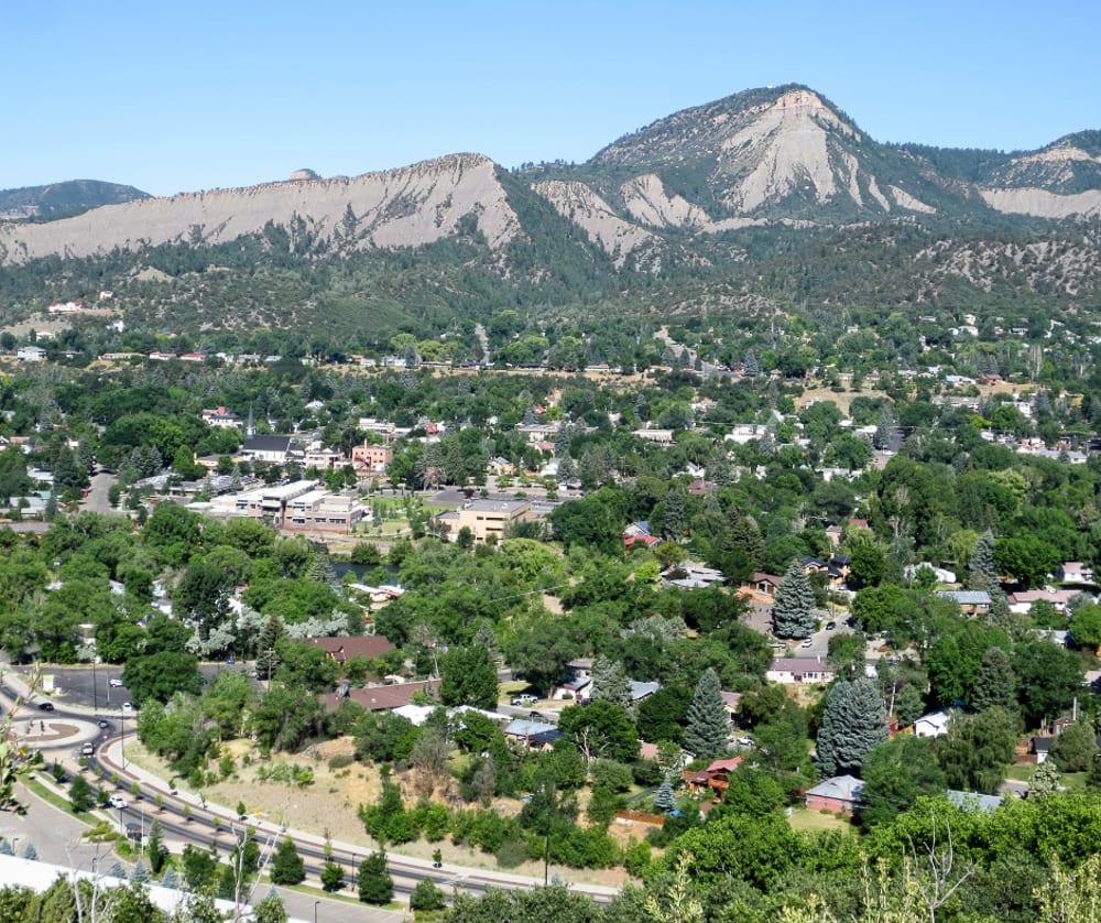 Mountain and meadow scenery in the Pine River Valley